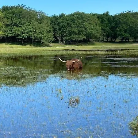 De Tuinkamer Egmond